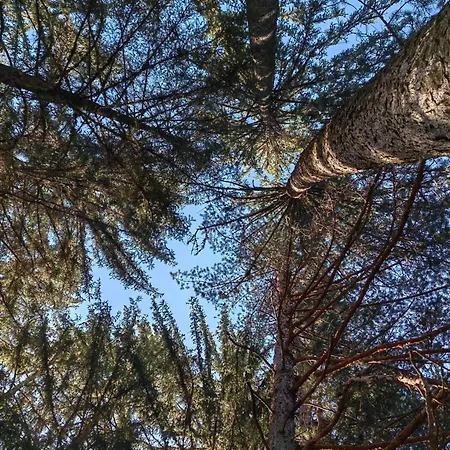 דירה Getaway- & Summer Activities , Sleep 6 בנסקו